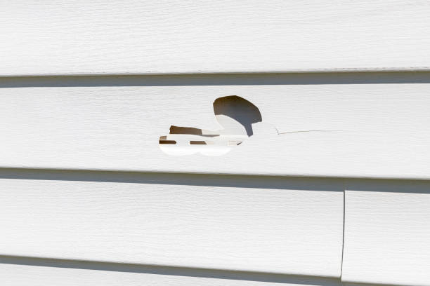 Shed Removal in Alpine, UT